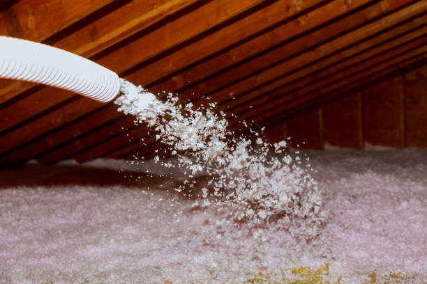 Best Attic Insulation Installation  in Sappington, MO