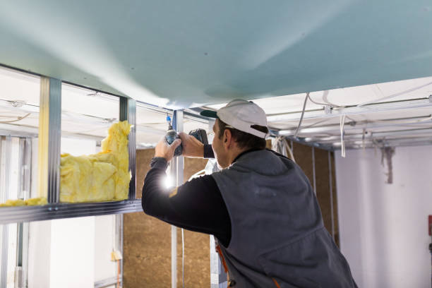 Best Commercial Insulation Contractor  in Sappington, MO
