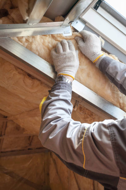 Insulation Contractors for Homes in Sappington, MO