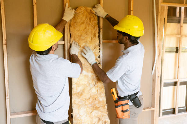 Best Home Insulation Services  in Sappington, MO