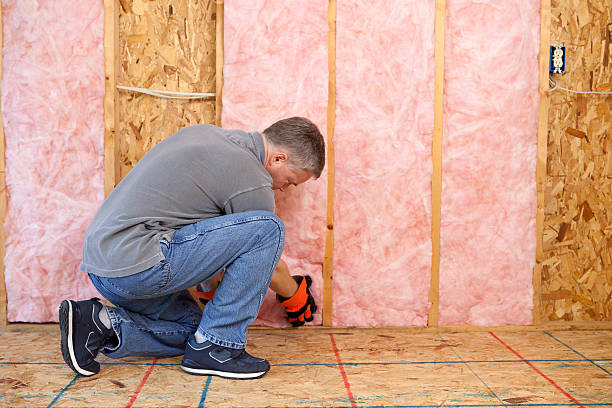 Best Blown-in Insulation  in Sappington, MO