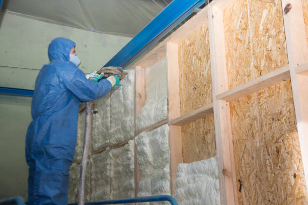 Best Professional Insulation Contractor  in Sappington, MO