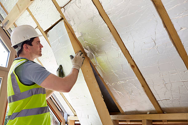 Best Insulation Contractor Near Me  in Sappington, MO