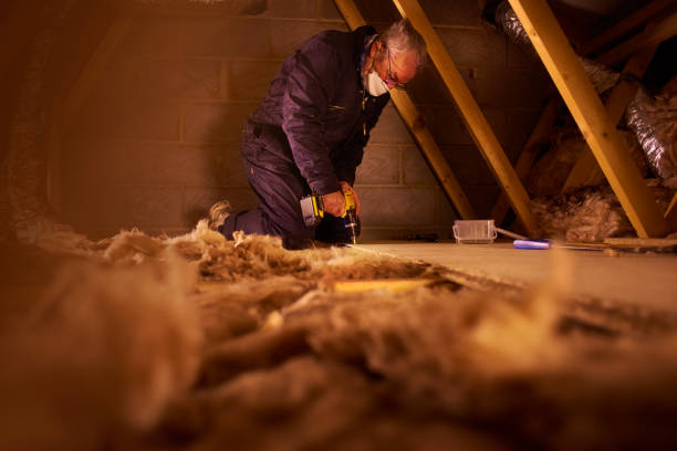 Best Soundproof Insulation Installation  in Sappington, MO