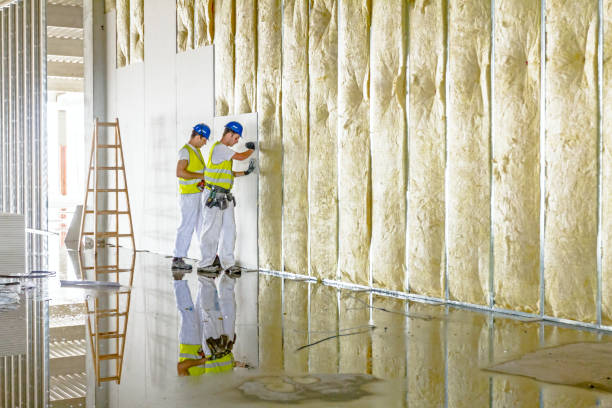 Best Crawl Space Insulation  in Sappington, MO